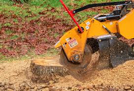 Mulching Services in Austell, GA